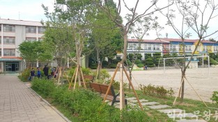 익산시-학교와 자연 친화 공간 만들기 추진 (이리북초등학교 명상숲).jpg