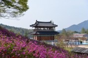 익산 서동공원, 형형색색 철쭉으로 봄의 정취 ‘가득’ (철쭉과 무왕루).JPG